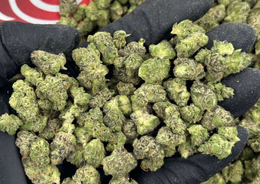 Candy Punch Smalls